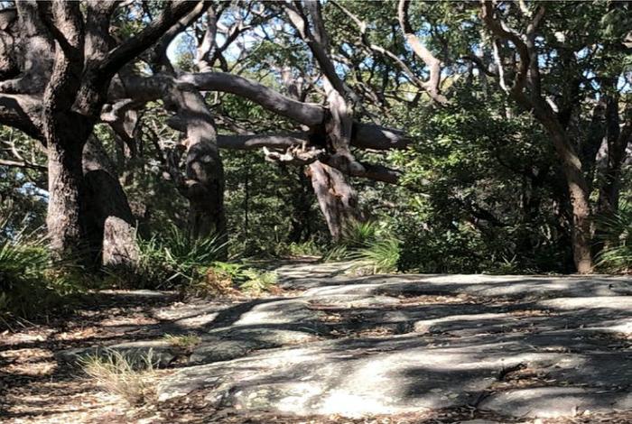 Mount Ettalong Reserve Masterplan